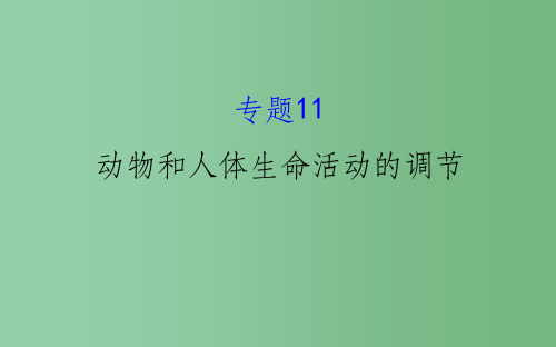 高考生物二轮复习 专题十一 动物和人体生命活动的调节课件