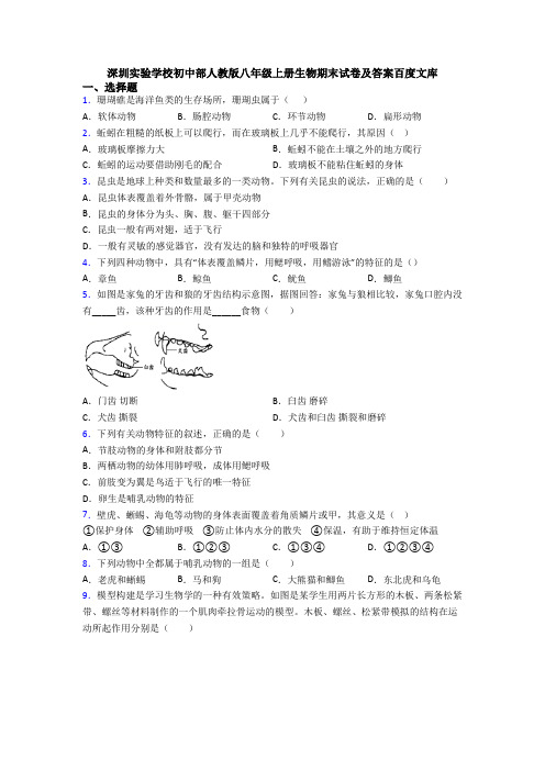 深圳实验学校初中部人教版八年级上册生物期末试卷及答案百度文库