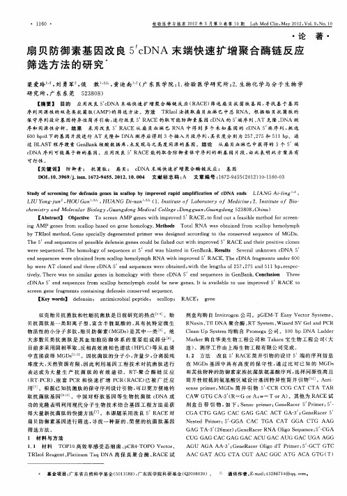 扇贝防御素基因改良5’cDNA末端快速扩增聚合酶链反应筛选方法的研究