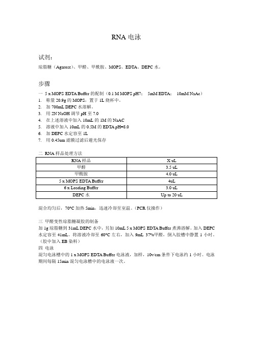 RNA电泳操作步骤