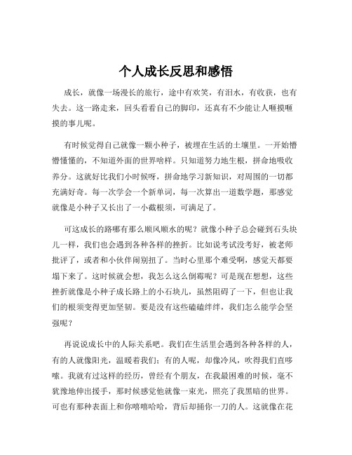 个人成长反思和感悟