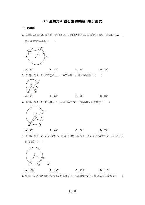 北师大版九年级下册数学 3.4圆周角和圆心角的关系 同步测试 