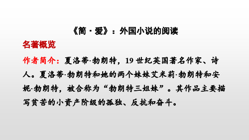 人教部编版九年级语文下册 6.名著导读 《简 爱》外国小说的阅读