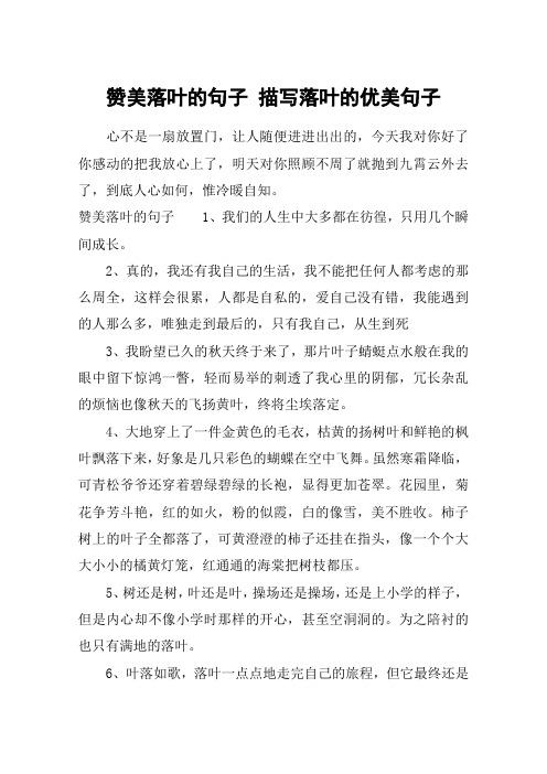赞美落叶的句子 描写落叶的优美句子