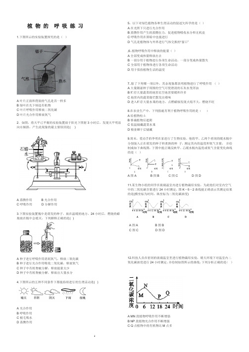 苏科版七年级生物第七章第一节能量的释放与利用