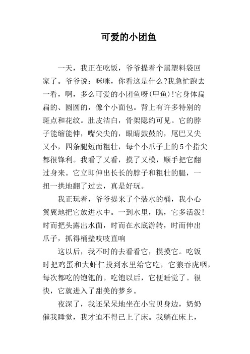 可爱的小团鱼