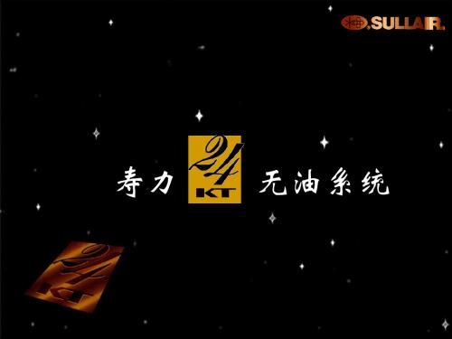 寿力空压机24kt机器介绍.