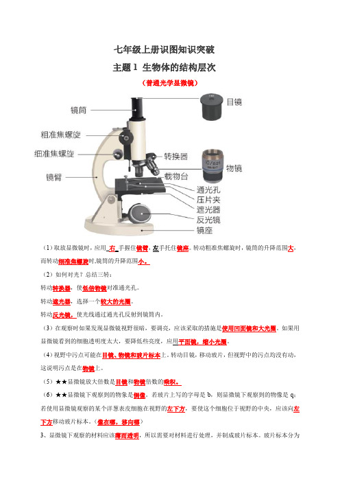 七年级上册识图知识突破-备战2024年中考生物复习重点难点易错点提分法宝