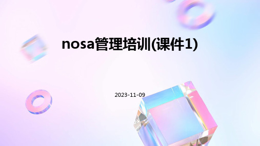 NOSA管理培训(课件1)