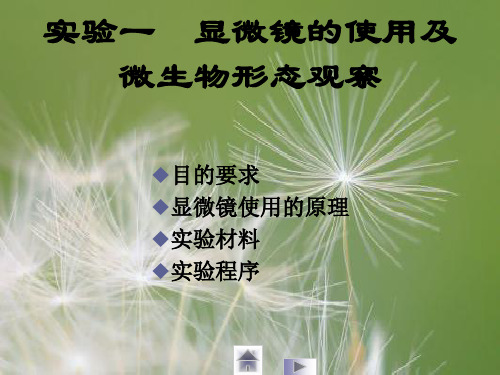 显微镜的使用和细胞形态的观察PPT教学课件
