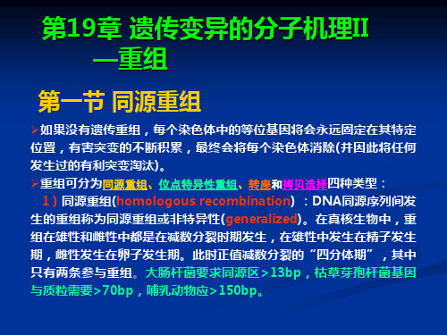 南开大学遗传学-19-20遗传变异的分子机理-重组,转座子