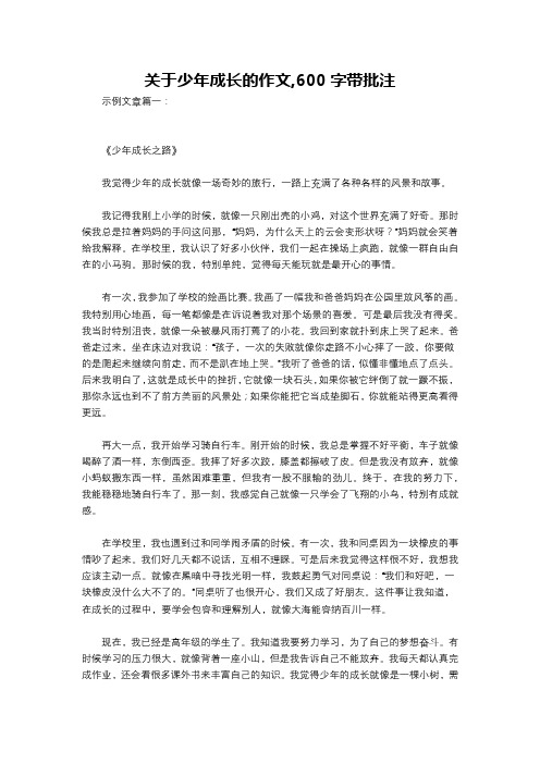 关于少年成长的作文,600字带批注