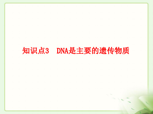 人教版高中生物必修2-3.1知识点3____DNA是主要的遗传物质