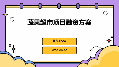 蔬果超市项目融资方案