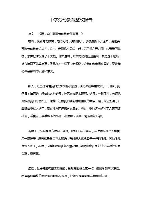 中学劳动教育整改报告