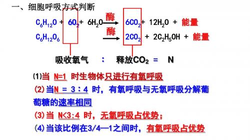 细胞呼吸