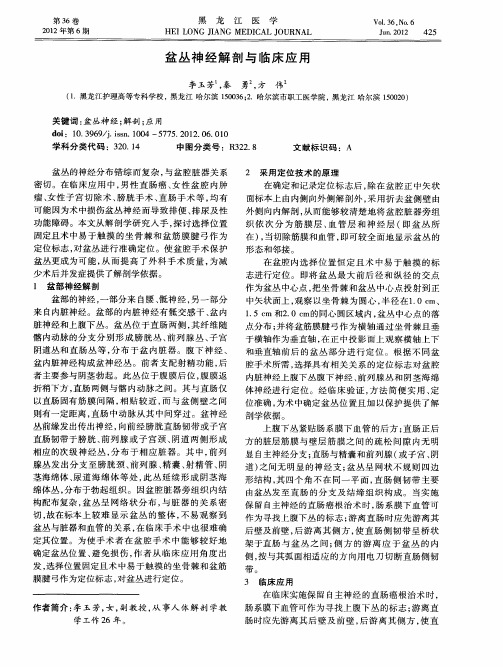 盆丛神经解剖与临床应用