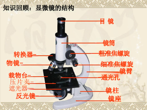 人教版初中生物七年级上册第二单元第一章第二节植物细胞ppt课件