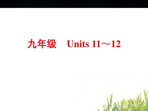 2015年中考英语(人教版)总复习：第一篇 教材梳理&跟踪训练 九年级 Units 11～12