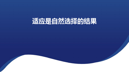 5.2+适应是自然选择的结果课件-2023-2024学年高一下学期生物浙科版必修2