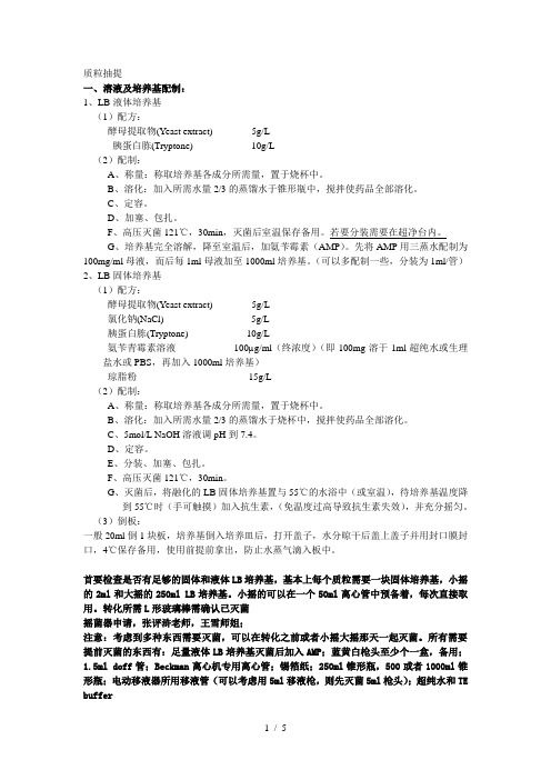 大肠杆菌质粒转染实验-QIAGEN大提试剂盒