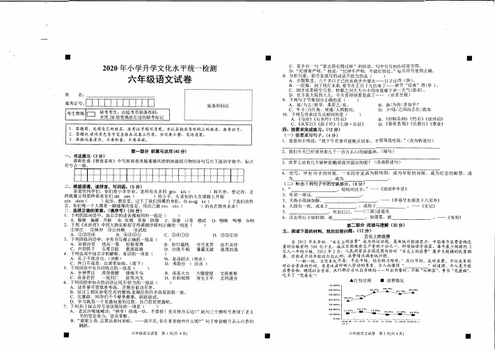 2020年黔东南州小学毕业文化水平统一测试-小升初-六年级下语文试卷-扫描