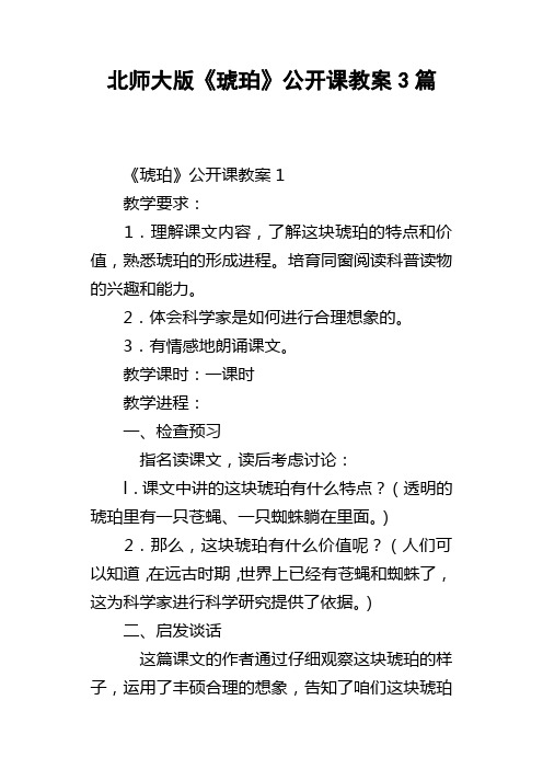 北师大版琥珀公开课教案3篇