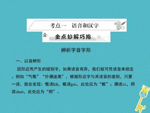 2018年中考语文语言积累与运用专题二语段积累运用考点一语音和汉字复习课件