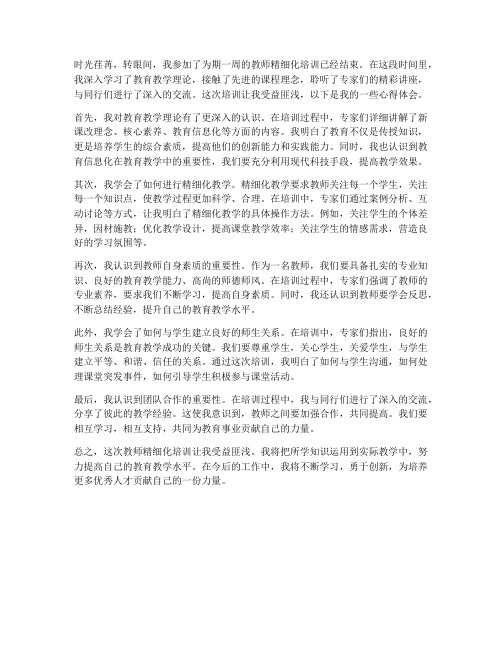 教师精细化培训心得体会