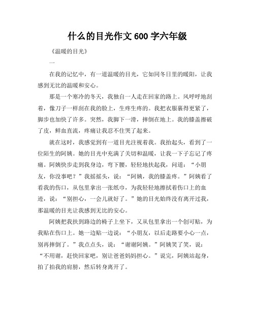 什么的目光作文600字六年级