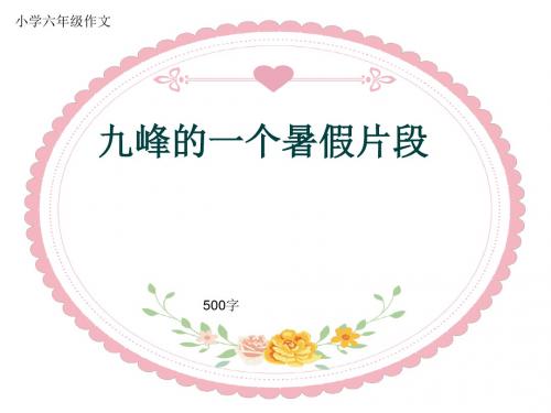 小学六年级作文《九峰的一个暑假片段》500字