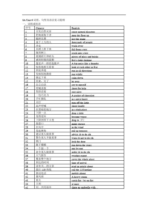 unit 6《natural disasters》词组、句型及语法复习提纲(牛津英语八年级上)doc