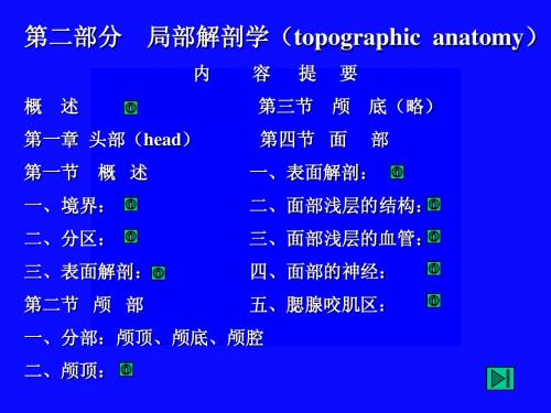 局部解剖学——头部