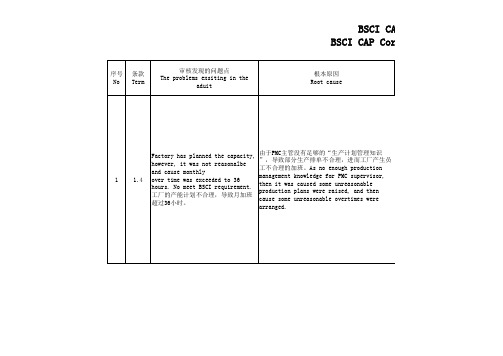 BSCI CAP改善报告_20170213