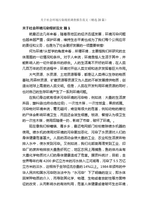 关于社会环境污染现状调查报告范文（精选20篇）