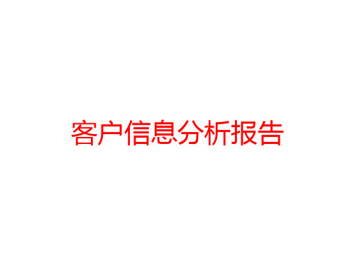 客户信息分析报告