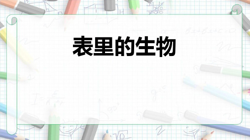 部编版六年级语文下册《表里的生物》PPT优质课件