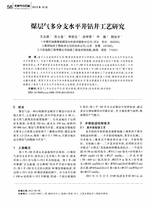 煤层气多分支水平井钻井工艺研究