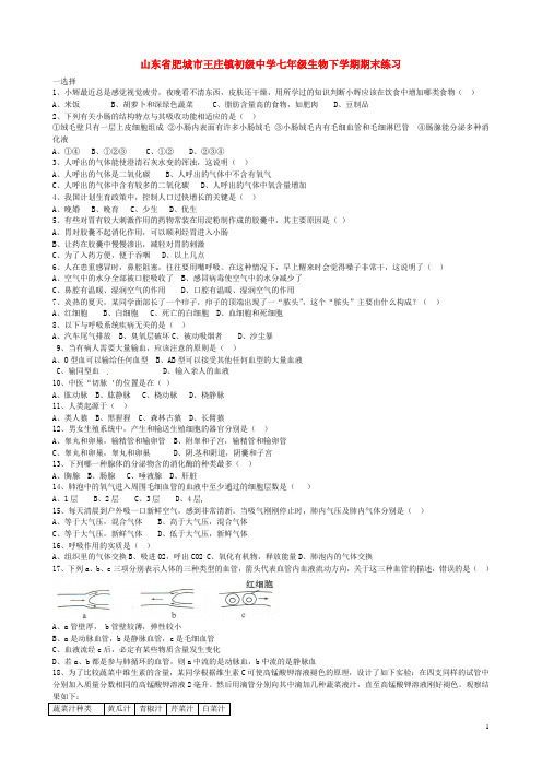 山东省肥城市王庄镇初级中学七年级生物下学期期末练习(无答案) 新人教版