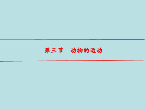 2-2-3动物的运动课件2022--2023学年济南版生物七年级上册