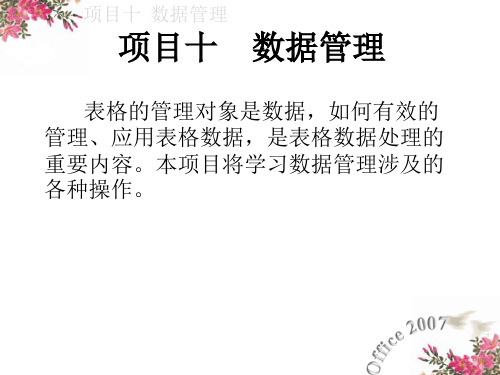 10excel数据管理