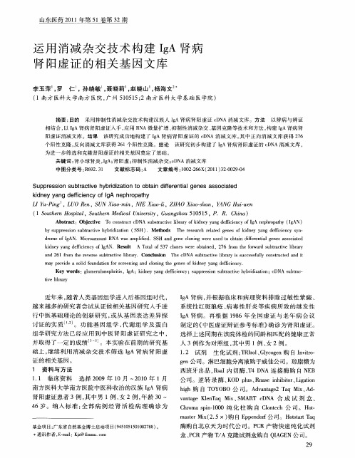 运用消减杂交技术构建IgA肾病肾阳虚证的相关基因文库