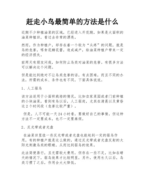 赶走小鸟最简单的方法是什么