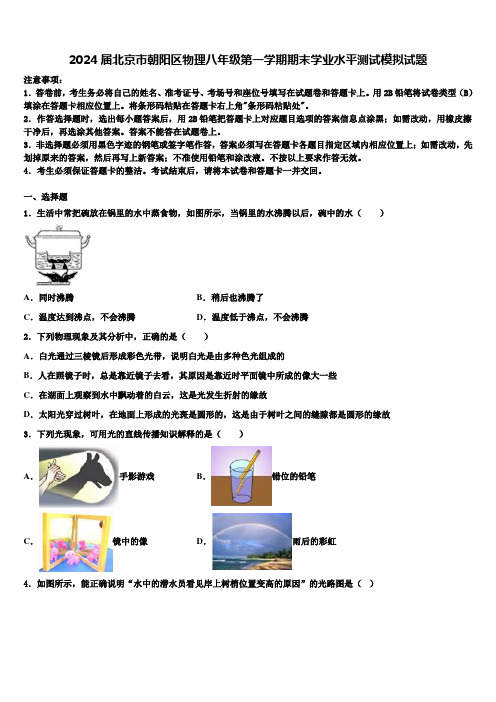 2024届北京市朝阳区物理八年级第一学期期末学业水平测试模拟试题含解析