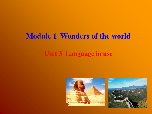 外研版九年级英语上册 Module 1 Unit 3 课件.ppt