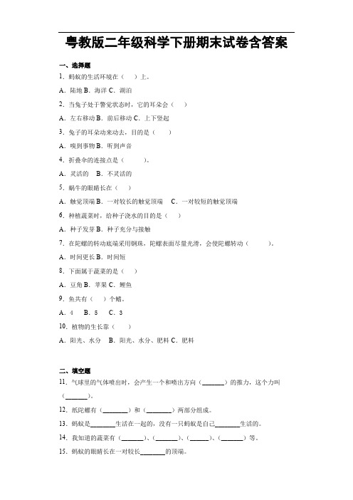 粤教版二年级科学下册期末试卷含答案