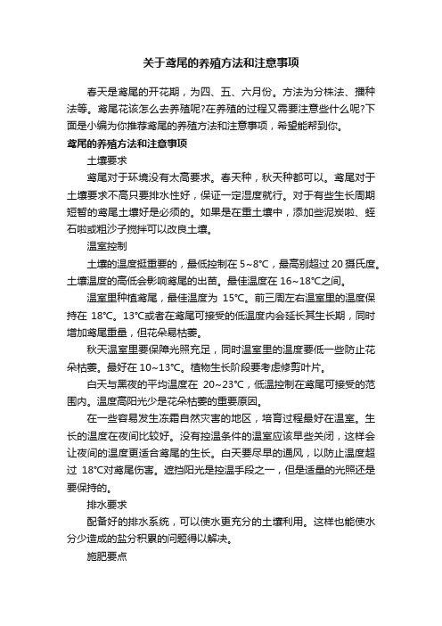 关于鸢尾的养殖方法和注意事项