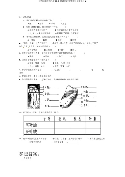 北师大版生物八下22.3《植物的主要类群》随堂练习1