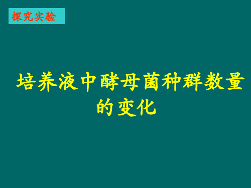 必修3 培养液中酵母菌种群数量的变化  酵母菌的计 数(共22张PPT)