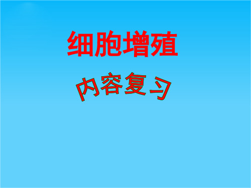 高中生物 第六章 第一节 细胞增殖专题内容复习课件 新人教版必修1